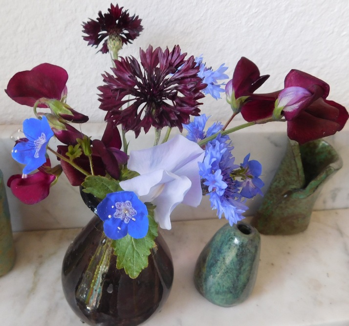 Phacelia viscida with Cornflowers and Sweet Peas (Black Prince and Solstice Light Blue) in a bouquet